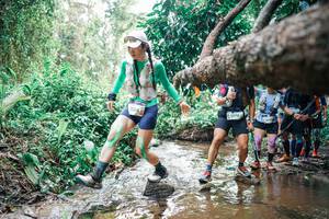 BIB: 
                            <button type="button" onclick="openModal(25373665)" class="btn btn-primary btn-sm float-right btn-popup" data-toggle="modal" data-target=".modal-high-quality">
                        <i class="fas fa-shopping-cart"></i> Add to Cart
                    </button>
                                            <button type="button" onclick="isThisMe(25373665, true)" class="btn btn-success btn-sm float-right btn-popup btn-isme hidden" data-toggle="tooltip" data-placement="bottom" title="นี่คือรูปของคุณใช่ไหม คลิกที่นี่เพื่อเอาเข้าอัลบั้ม">
                        <i class="fas fa-plus"></i> Add to album
                    </button>
                    <button type="button" onclick="isThisMe(25373665, false)" class="btn btn-warning btn-sm float-right btn-popup btn-isnotme hidden">
                        <i class="fas fa-ban"></i> Remove from album
                    </button>